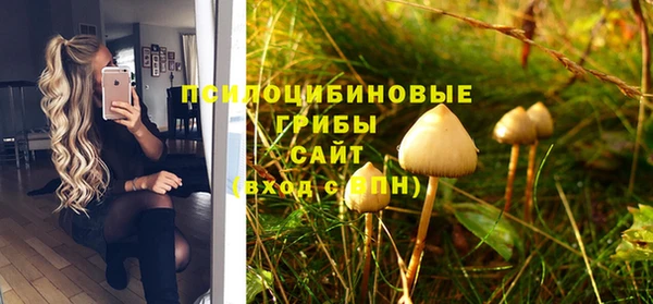 дмт Алзамай