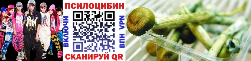 Галлюциногенные грибы мухоморы  Донской 